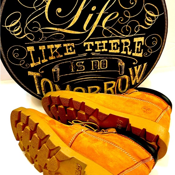 Timberlsnd - Picture 9 of 11